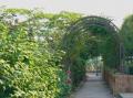  Paris  -  Port de Paris et Jardin de l Arsenal  - Jardin de l Arsenal Les Jardins de l Arsenal 002